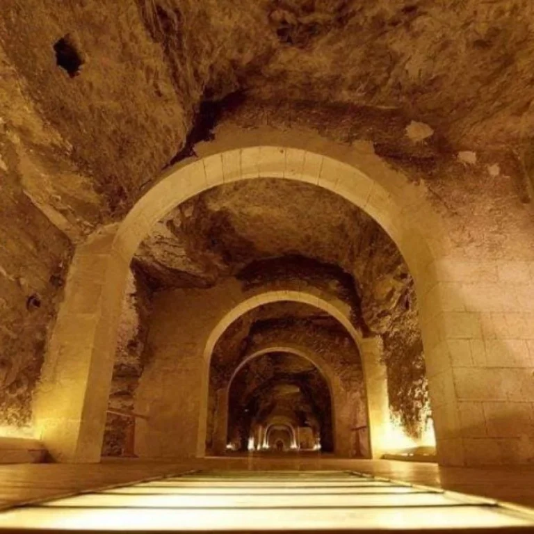 img-20240812-wa0073-qsjm104mlm3g9l5tncyrivtxrakrulujcr9i79ddt4