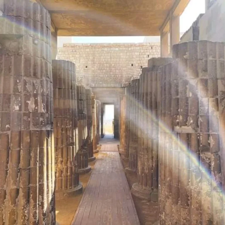 img-20240812-wa0078-qsjm19j0hygbhos64h117tgjp5afzkvuq1sd00zg2w