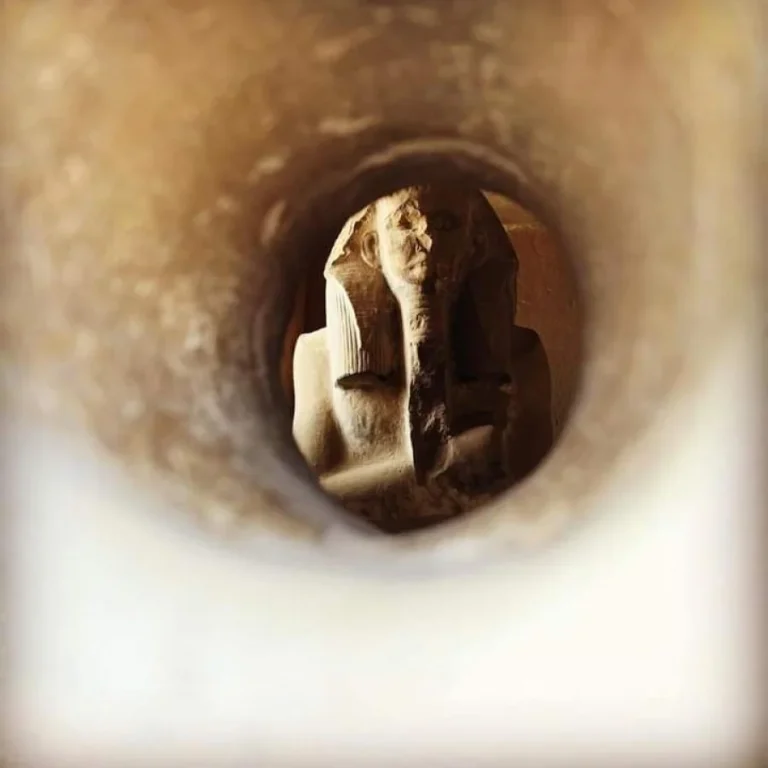 img-20240812-wa0079-qsjm19j0hygbhos64h117tgjp5afzkvuq1sd00zg2w