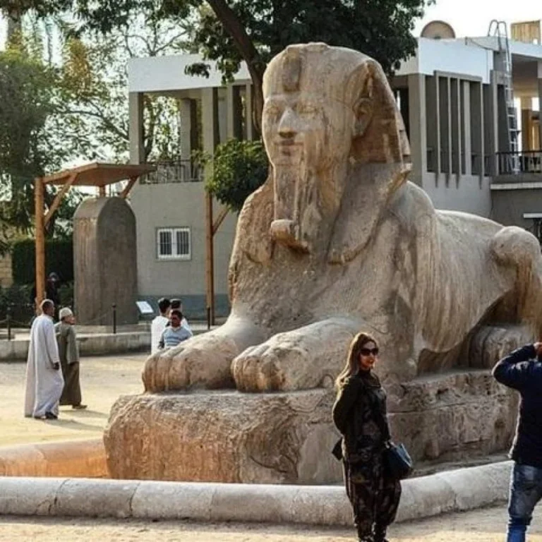 img-20240812-wa0081-1-qsopxilff12uf0hwi42ul7y6uawt3etq995aqh2ka0