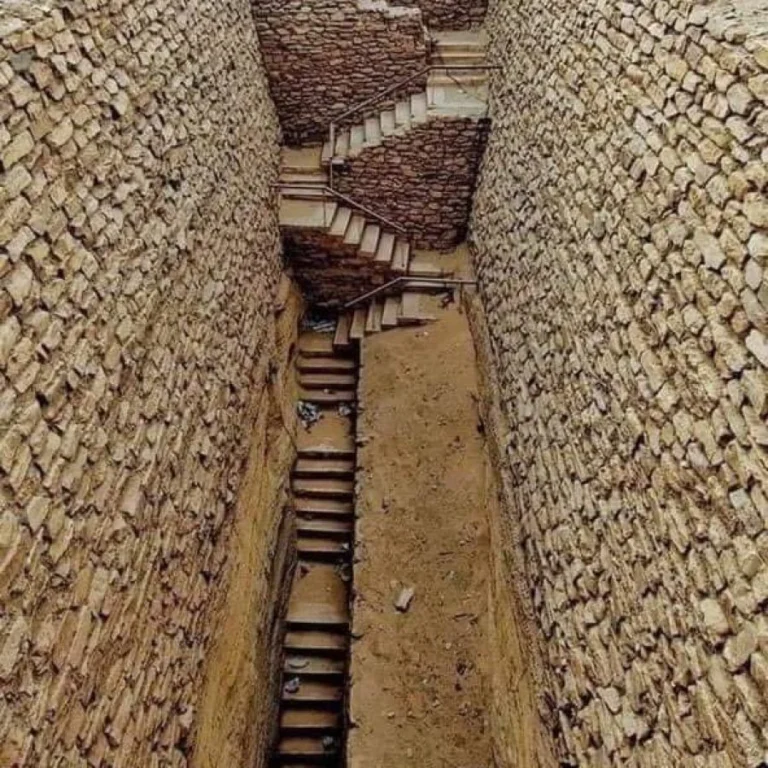 img-20240812-wa0085-qsjn6d0zb6pn3x3458jt8g42pmq6j61d1gmmdk1s14