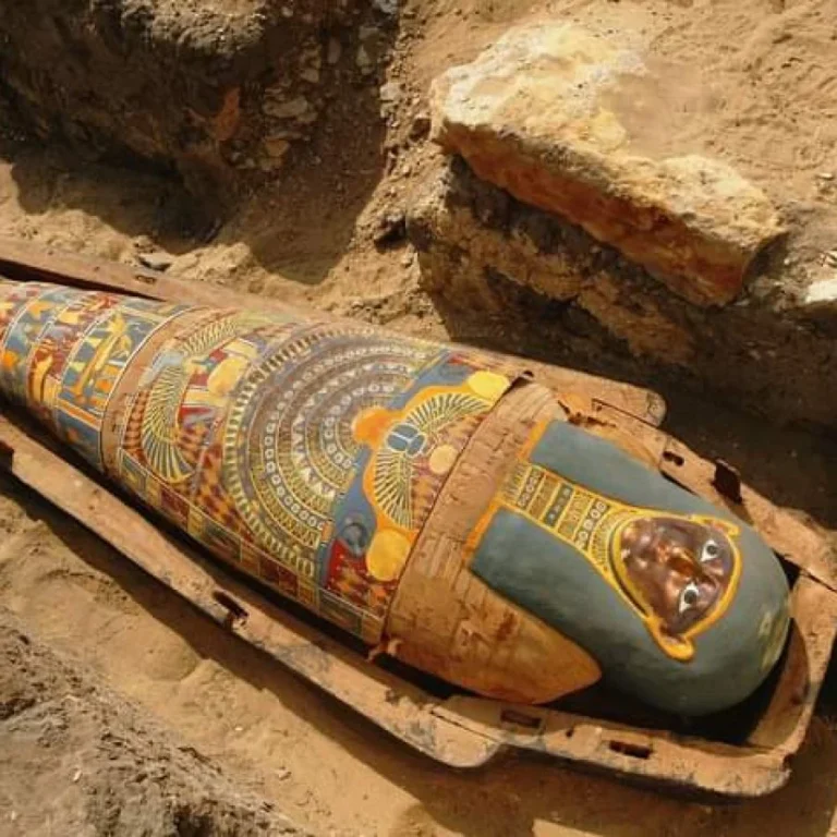 img-20240812-wa0088-qsjn6gsc2iusecxnja6bif5x367ndygadz8kanw7c8