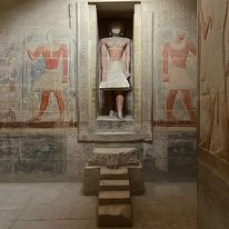 img-20240813-wa0004-qsjn6ob1l752z8mqbdfc2d9lu96l3ja530gg4vl1yg