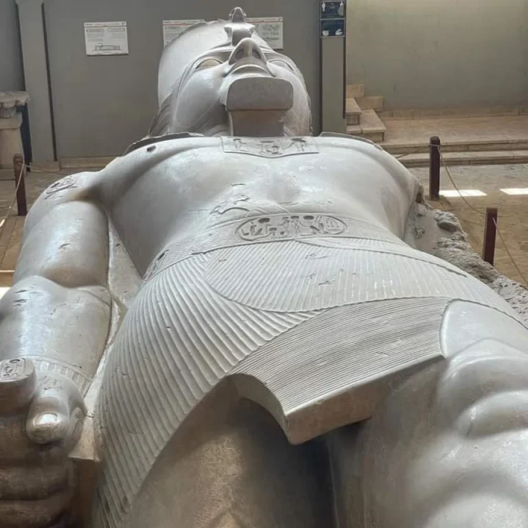 img-20240813-wa0005-qsjn6ob1l752z8mqbdfc2d9lu96l3ja530gg4vl1yg