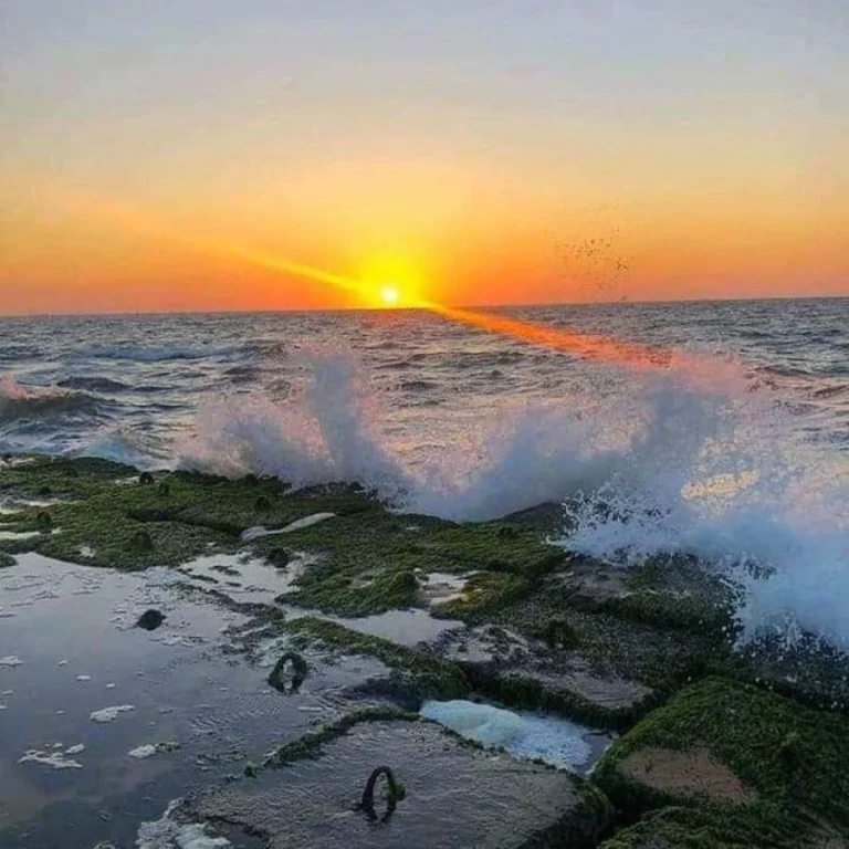 img-20240815-wa0113-qsnn1wwr3t4n1hhx74l7welo3xdfs2i1tv5pq49x60