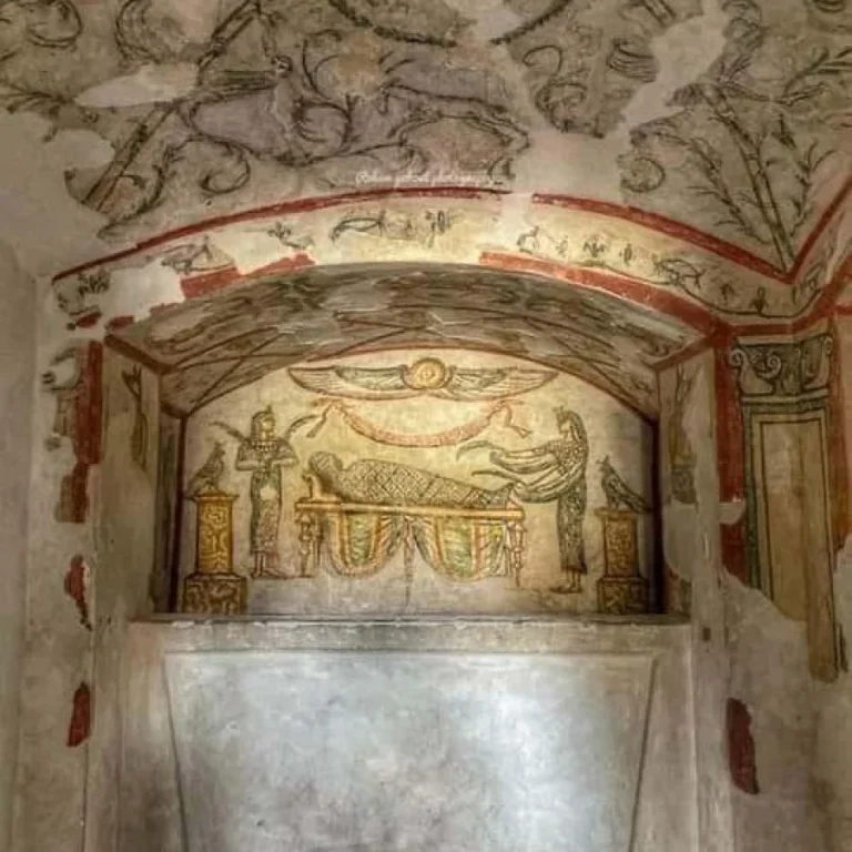 img-20240815-wa0130-qsnn26b505hi9l49o8nhlc8a1s33x1jd75okivvzfs