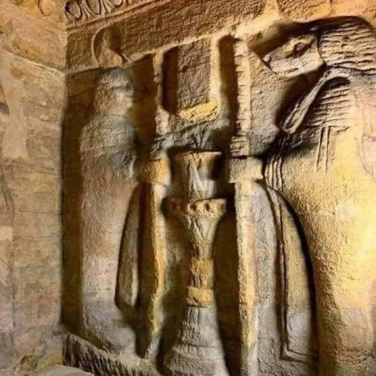 img-20240815-wa0131-qsnn286tdtk2wt1jd9gqqbr78jtucfqtvezjhft73c