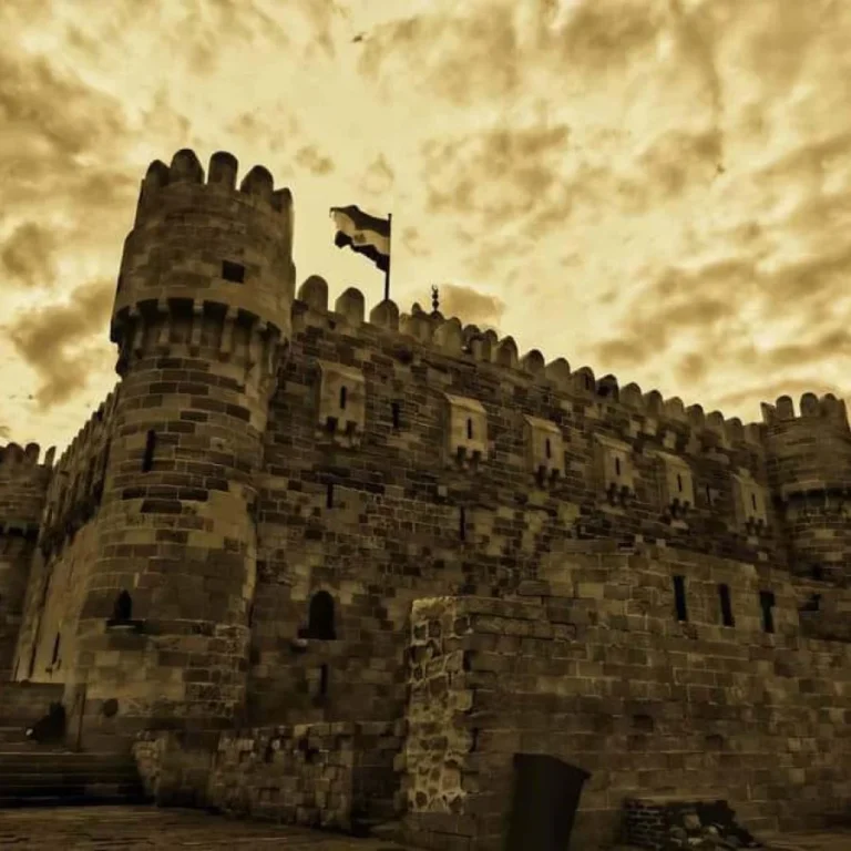 img-20240815-wa0135-qsnn286tdtk2wt1jd9gqqbr78jtucfqtvezjhft73c