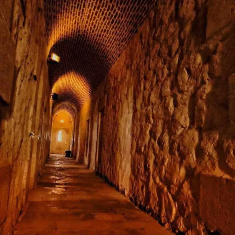 img-20240815-wa0139-qsnn2a2hrhmnk0yt2a9zvba4fbkkrtyajoaifzqeqw