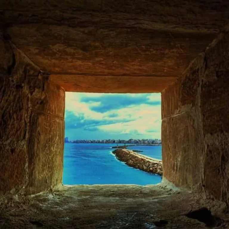 img-20240815-wa0142-qsnn2by655p878w2rb390at1m3bb785r7xlhejnmeg