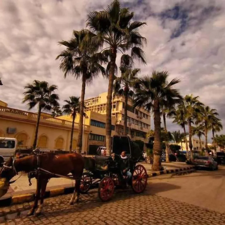 img-20240815-wa0150-qsnn2dtuitrsugtcgbwi5abysv21mmd7w6wgd3ku20