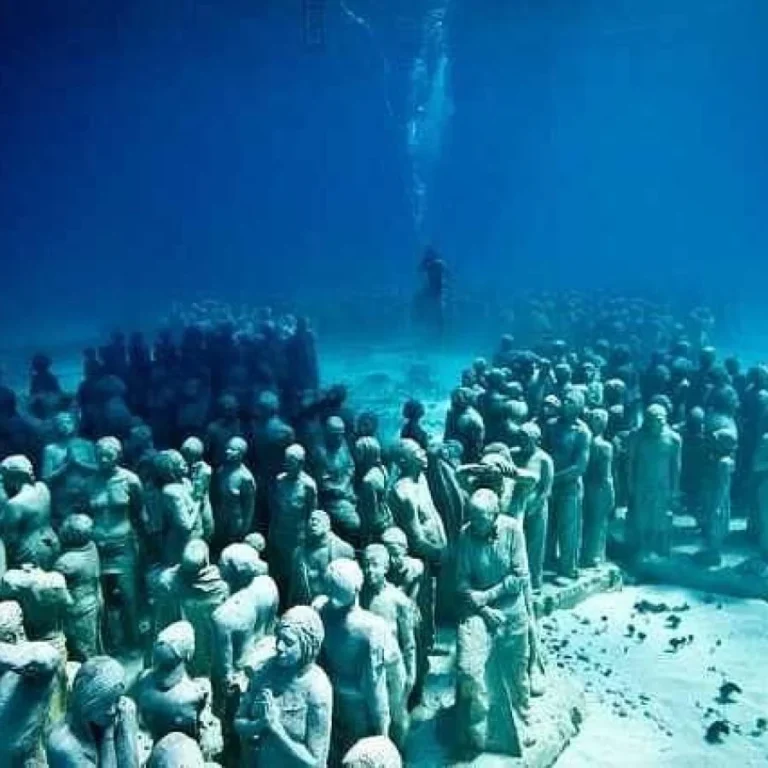 img-20240815-wa0156-qsnn2fpiwhudhoqm5cpra9uvzmss20kokg7fbni1pk