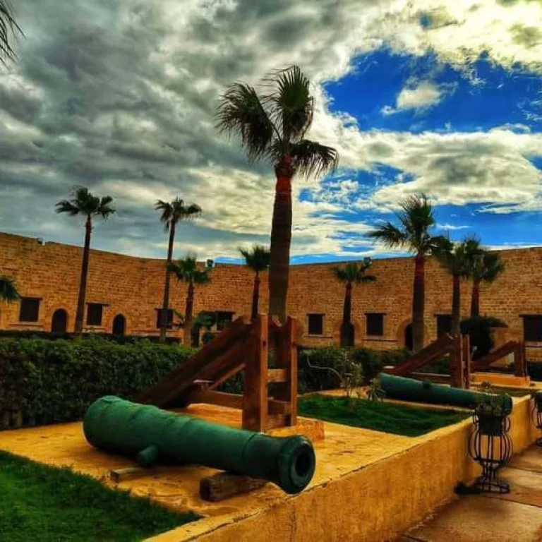 img-20240815-wa0159-qsnn2hl7a5wy4wnvudj0f9dt6ejihes58piea7f9d4